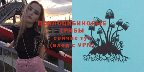 тгк Беломорск