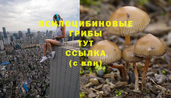 хмурый Белоозёрский